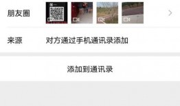 宠物爆料博主视频下载,萌宠日常大揭秘